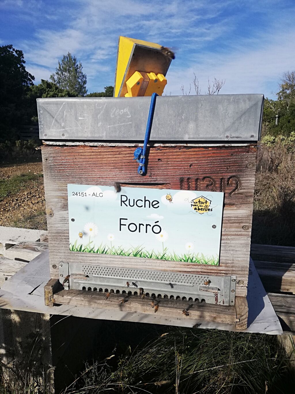 La ruche Forró