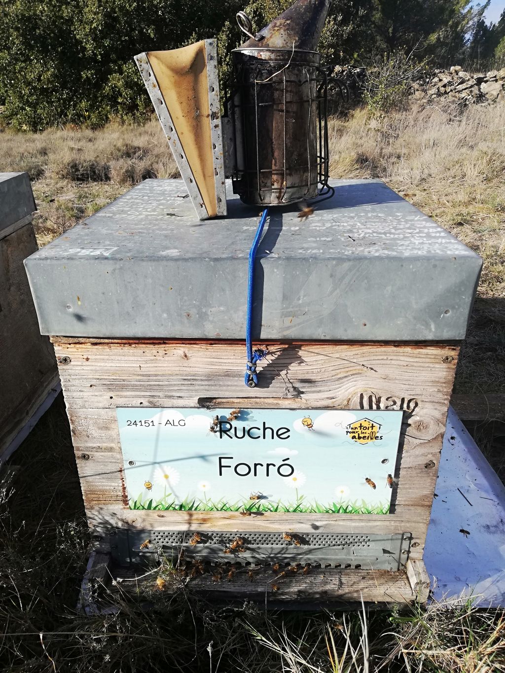 La ruche Forró
