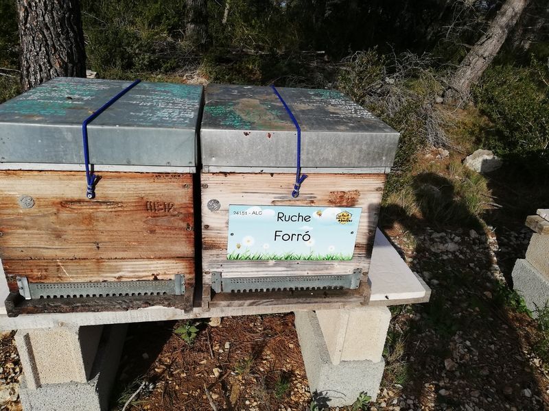 La ruche Forró