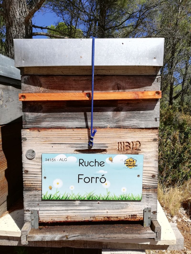 La ruche Forró