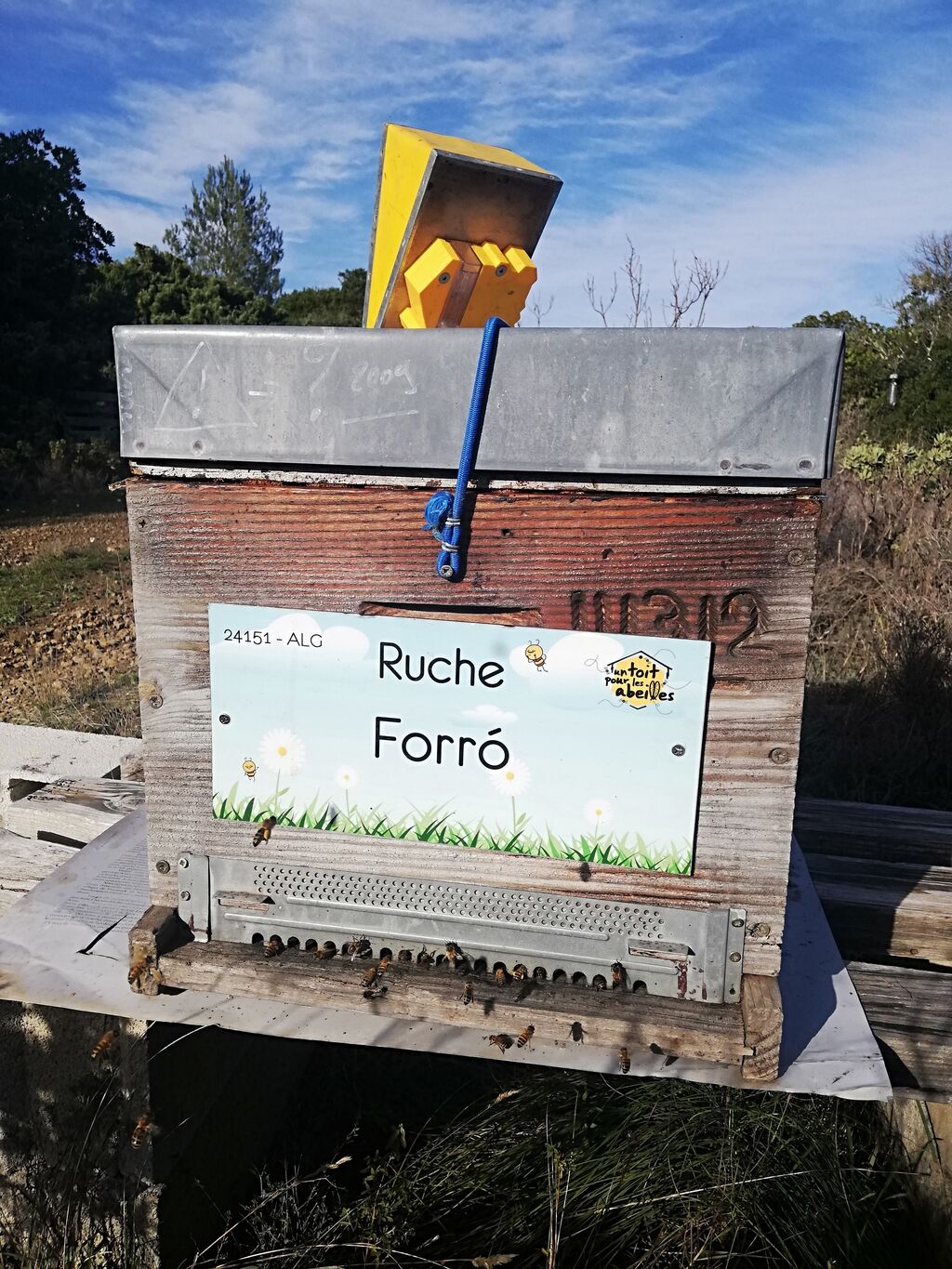 La ruche Forró