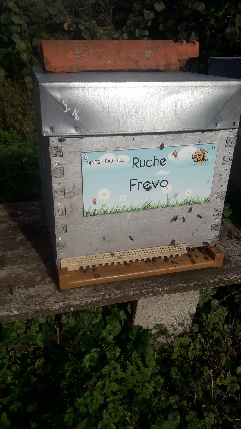 La ruche