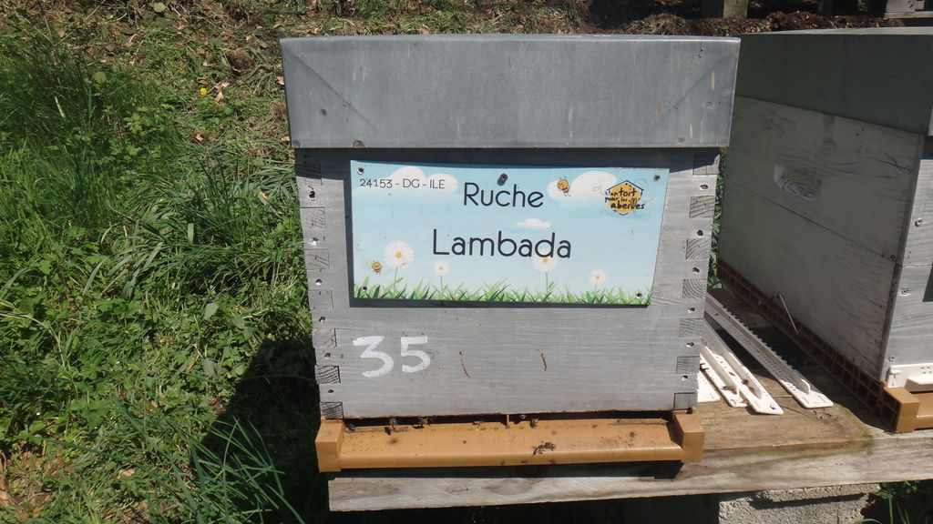 La ruche