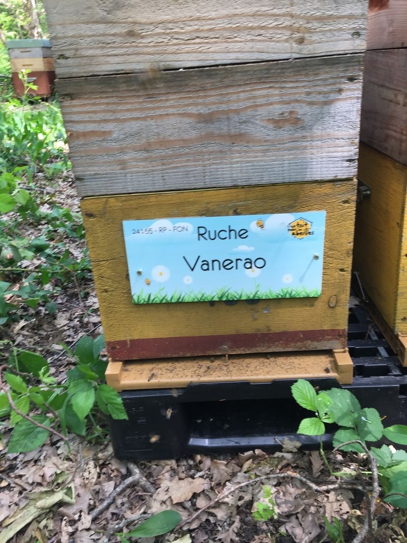 La ruche