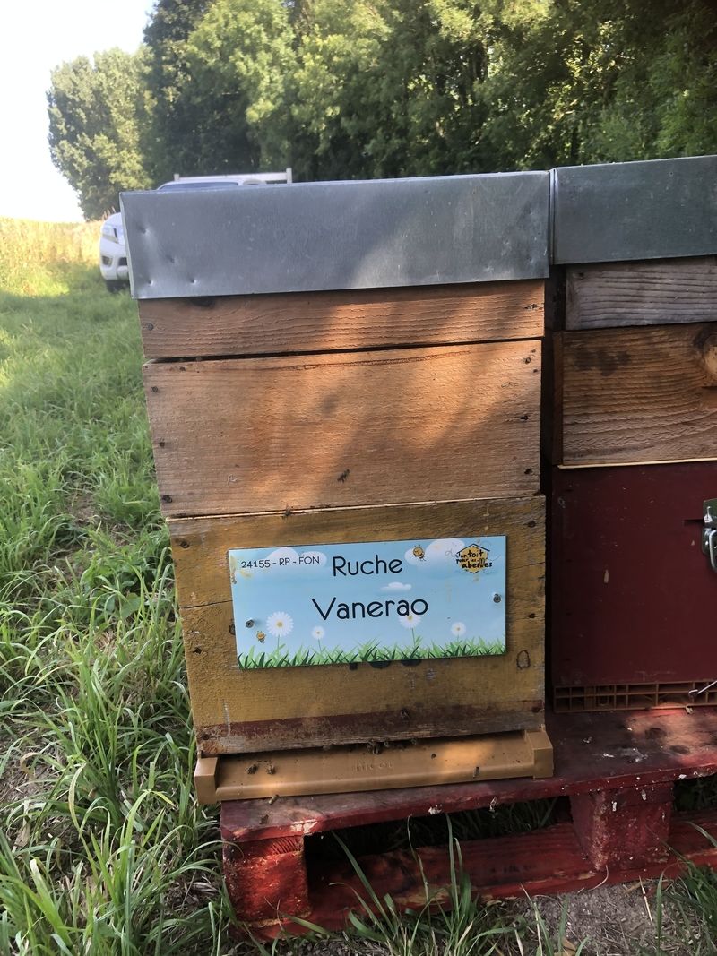 La ruche Vanerao