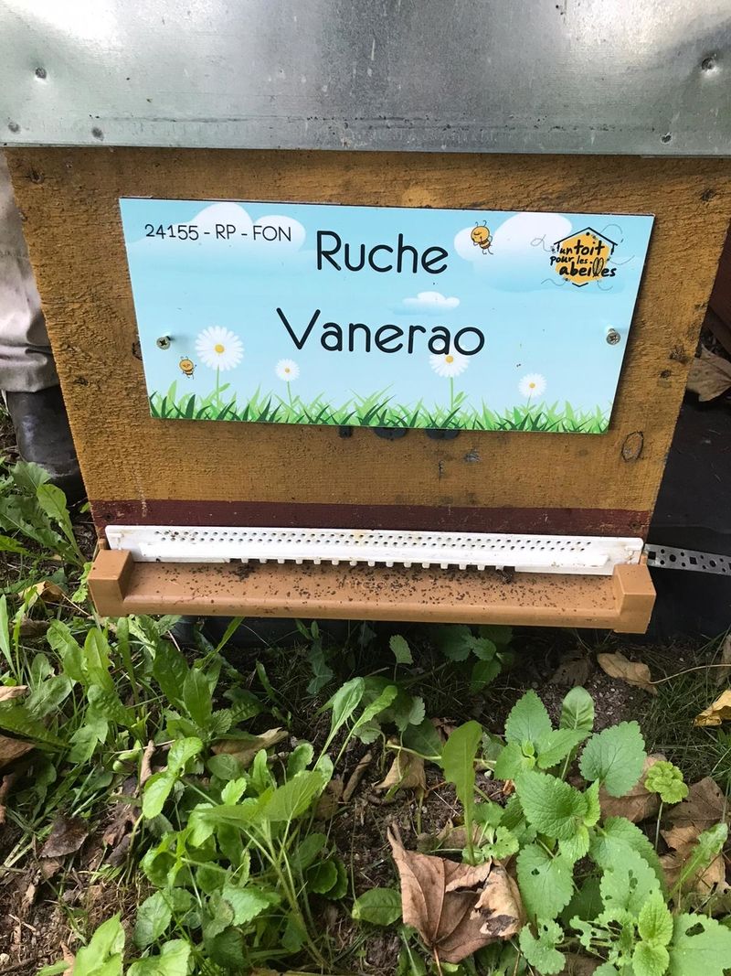 La ruche Vanerao