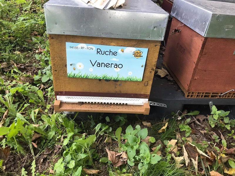 La ruche Vanerao