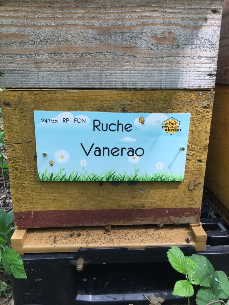 La ruche Vanerao