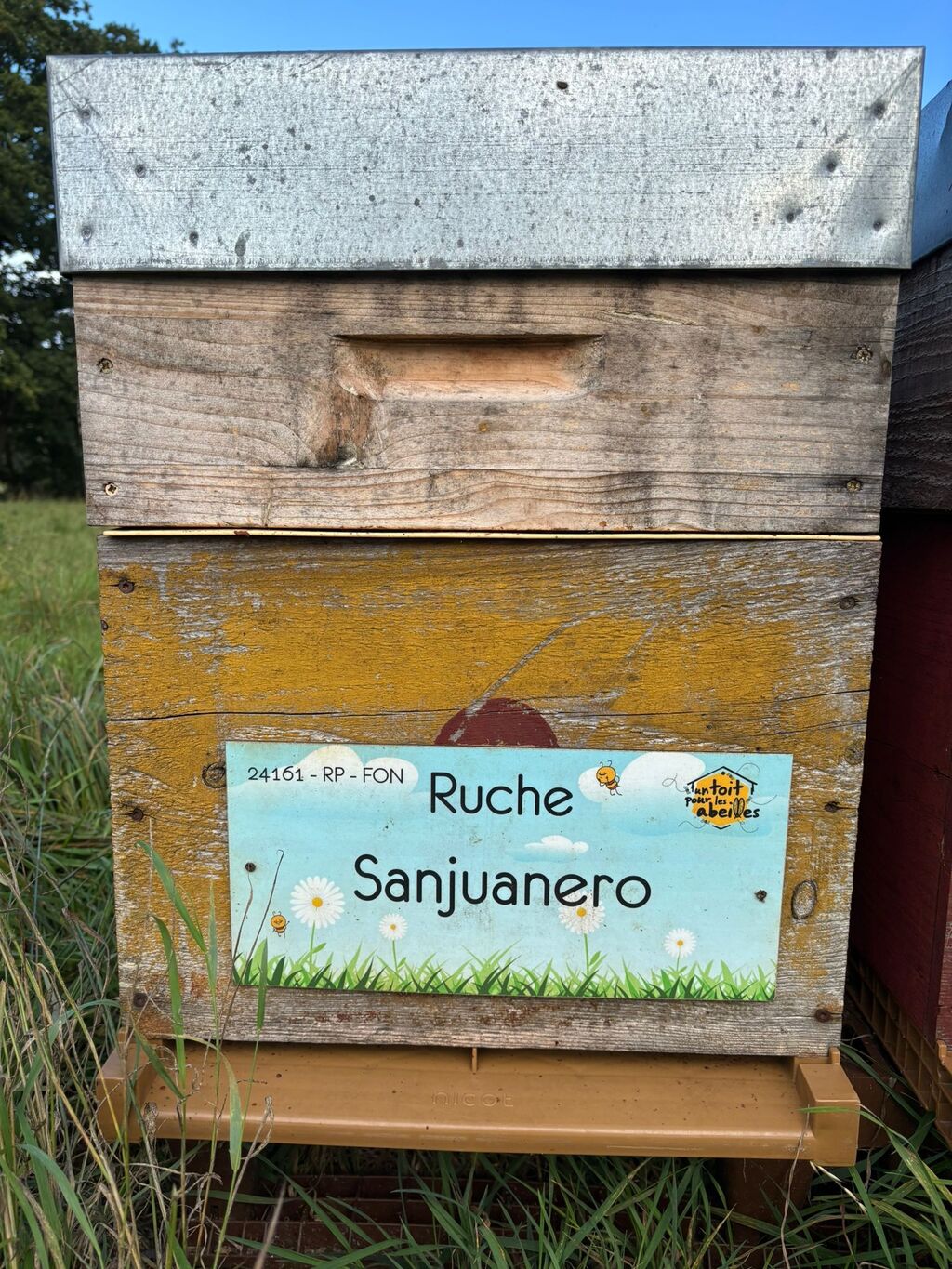 La ruche Sanjuanero