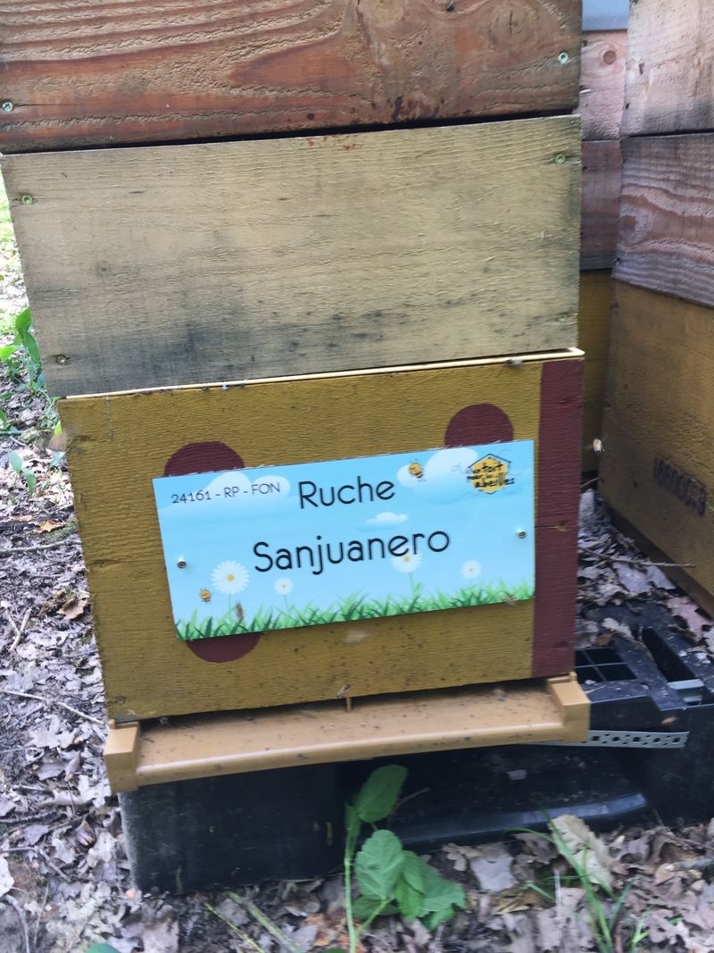 La ruche