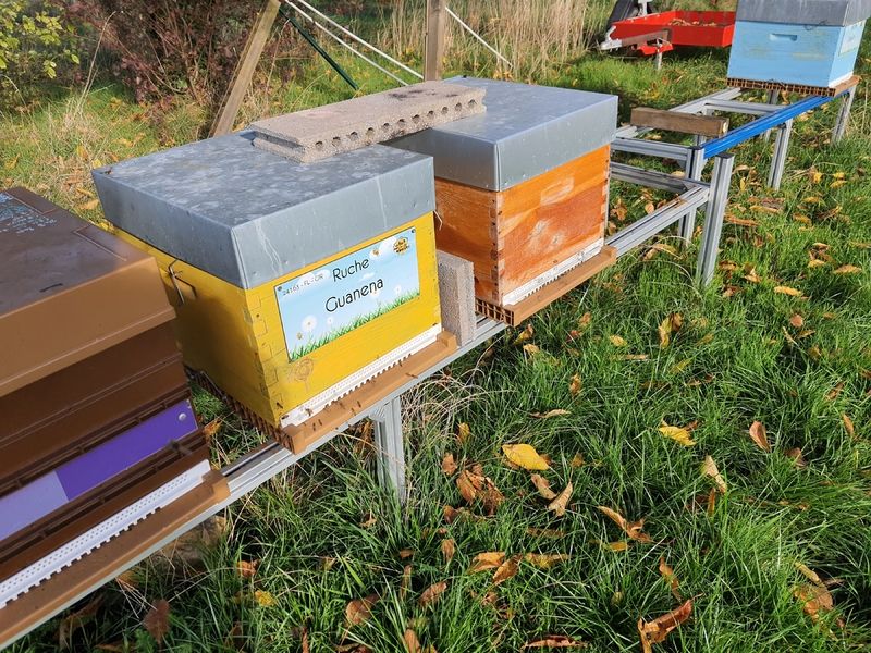 La ruche Guanena