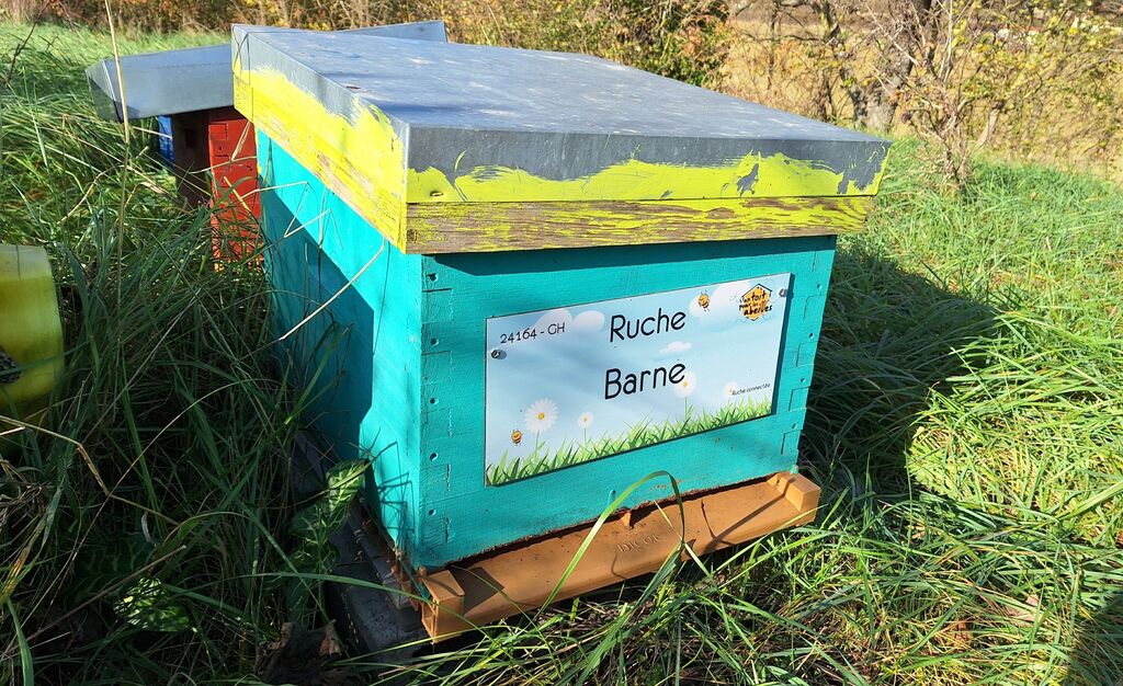 La ruche Barne