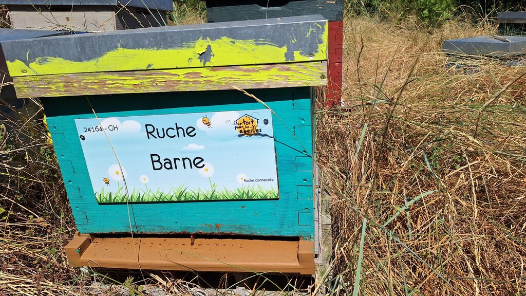 La ruche Barne