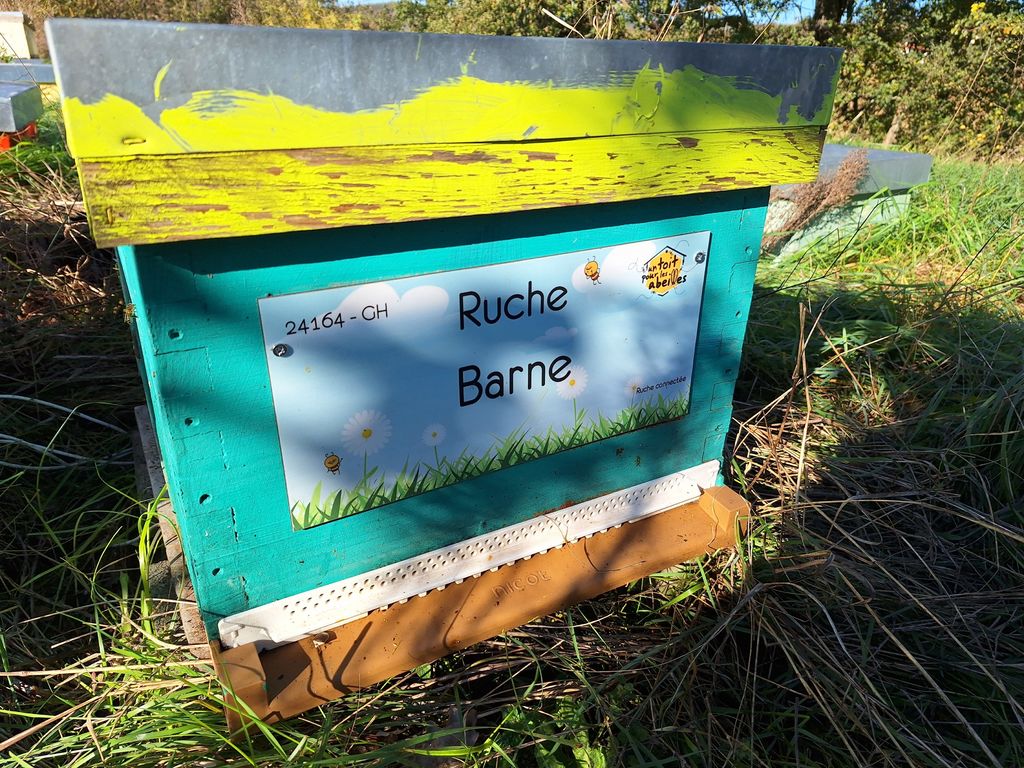 La ruche Barne