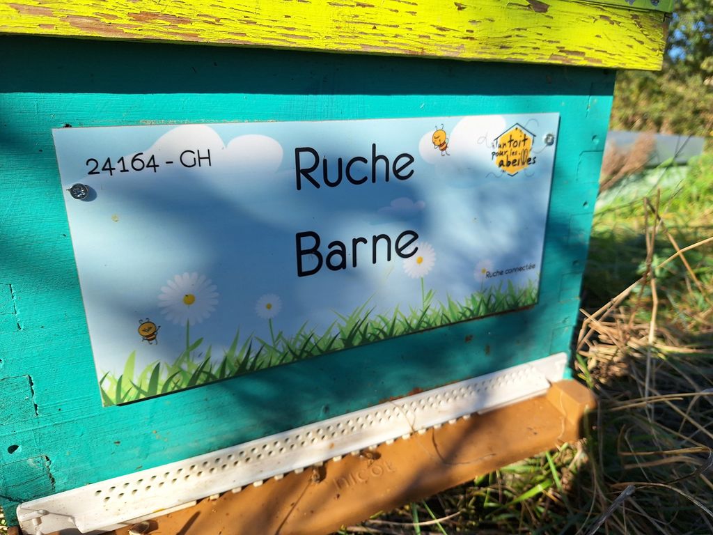 La ruche Barne