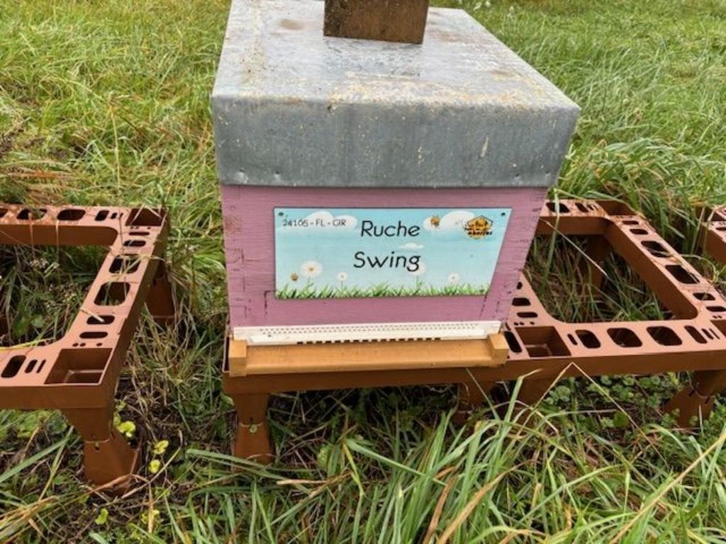 La ruche Swing