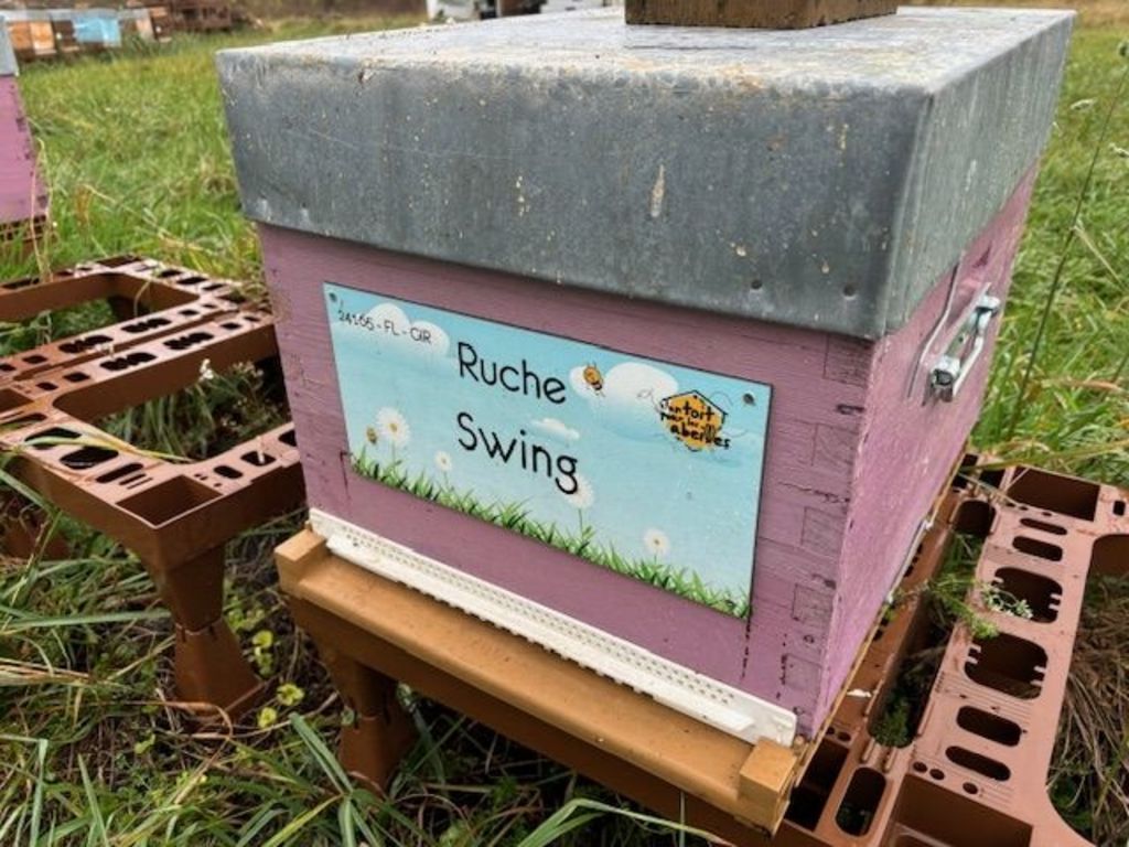 La ruche Swing
