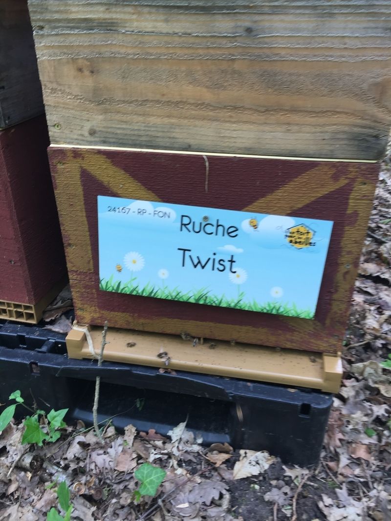 La ruche