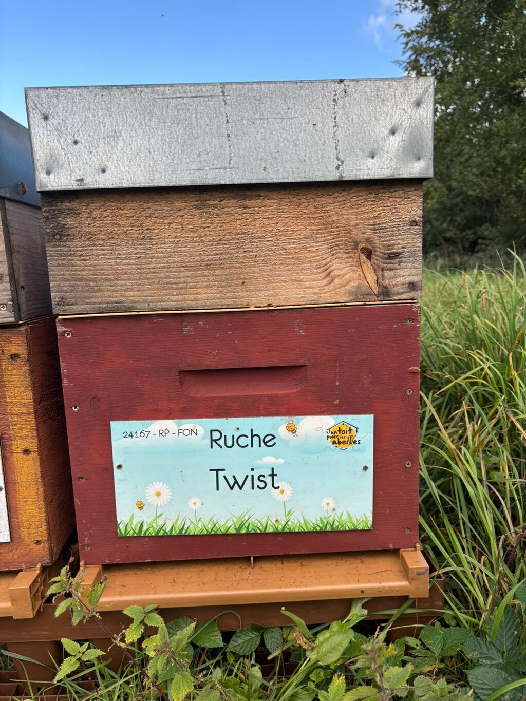 La ruche Twist