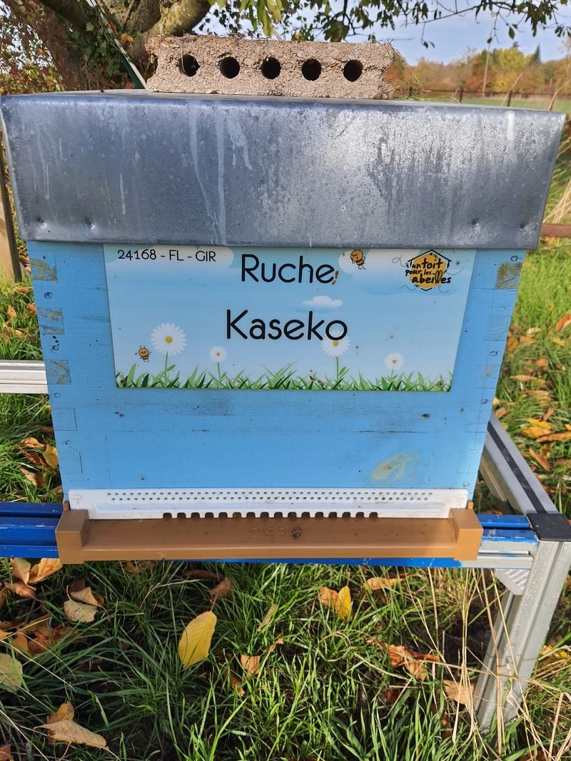 La ruche Kaseko