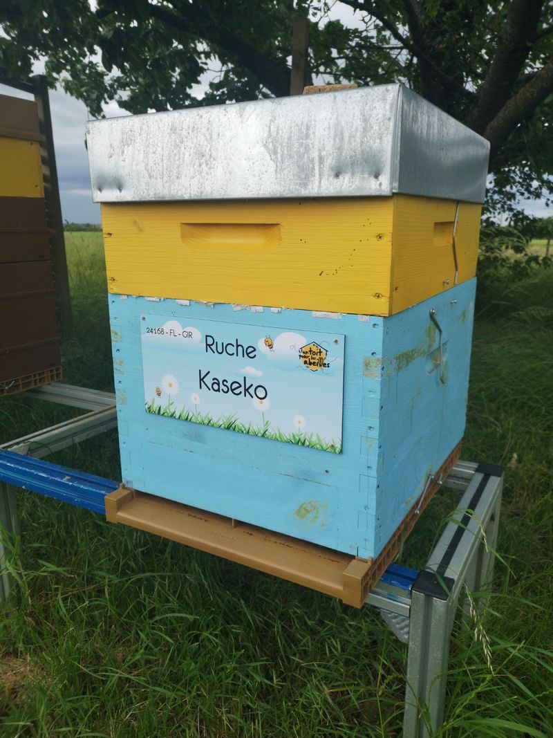 La ruche Kaseko