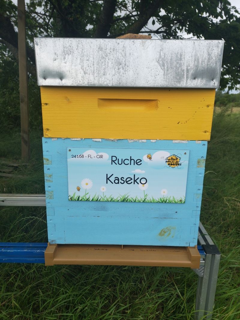La ruche Kaseko