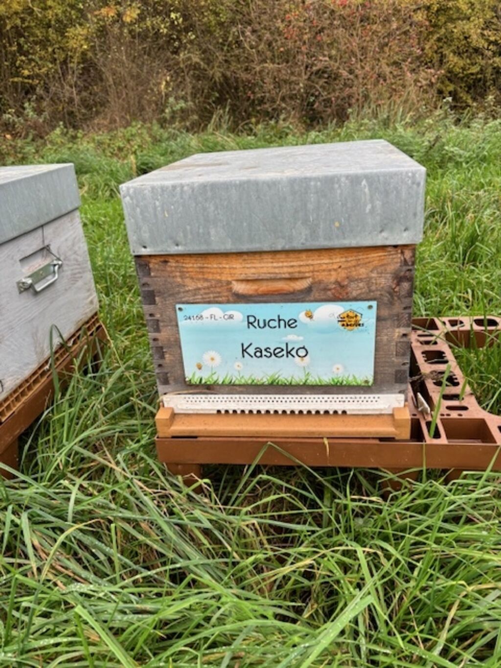 La ruche Kaseko