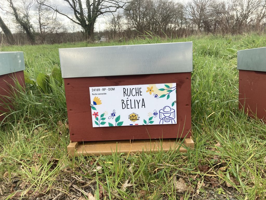 La ruche Béliya