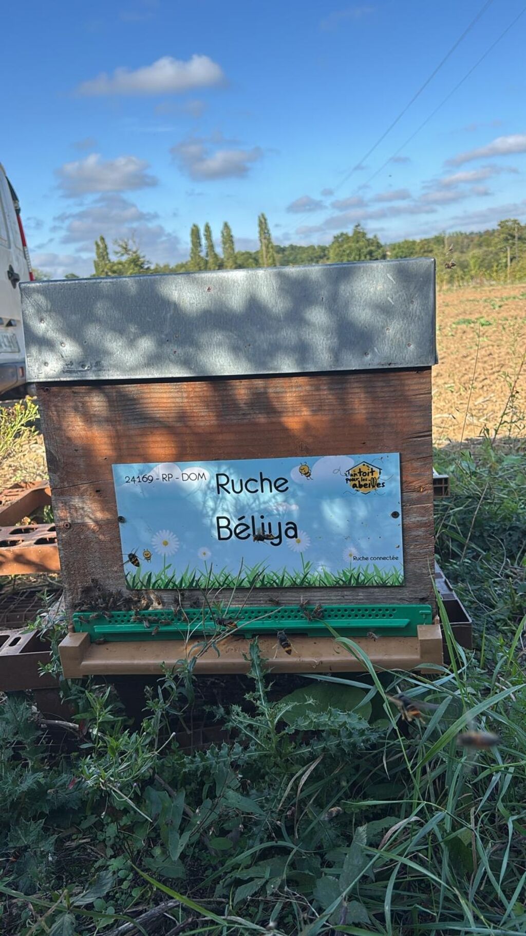 La ruche Béliya