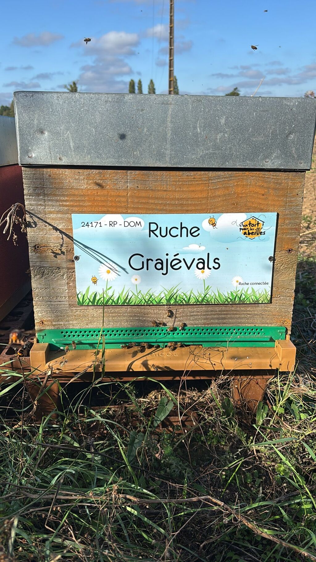 La ruche Grajévals
