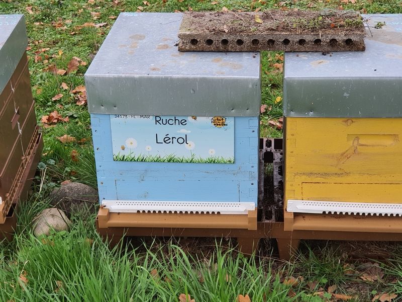 La ruche Lérol