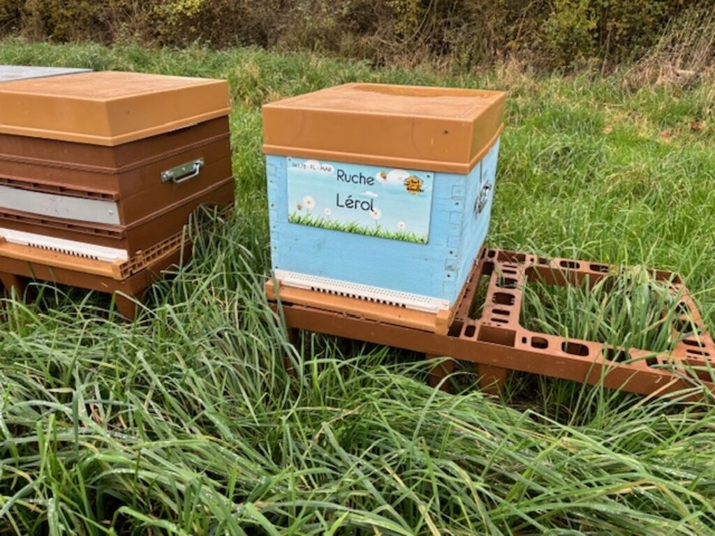 La ruche Lérol