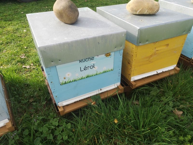 La ruche Lérol
