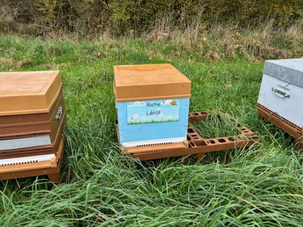 La ruche Lérol
