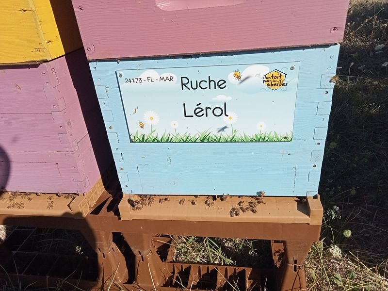 La ruche Lérol