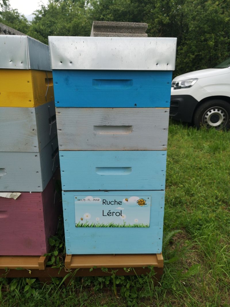 La ruche Lérol