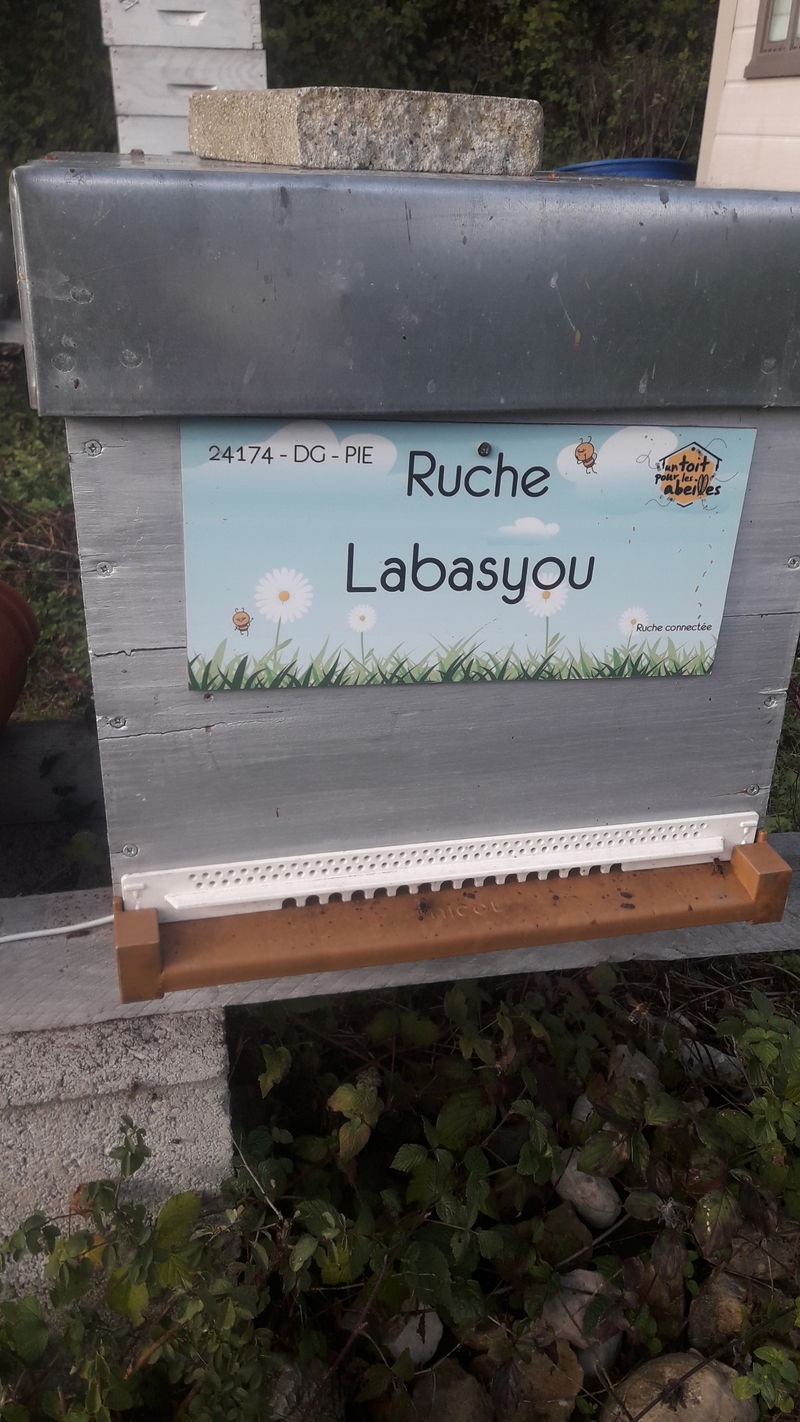 La ruche