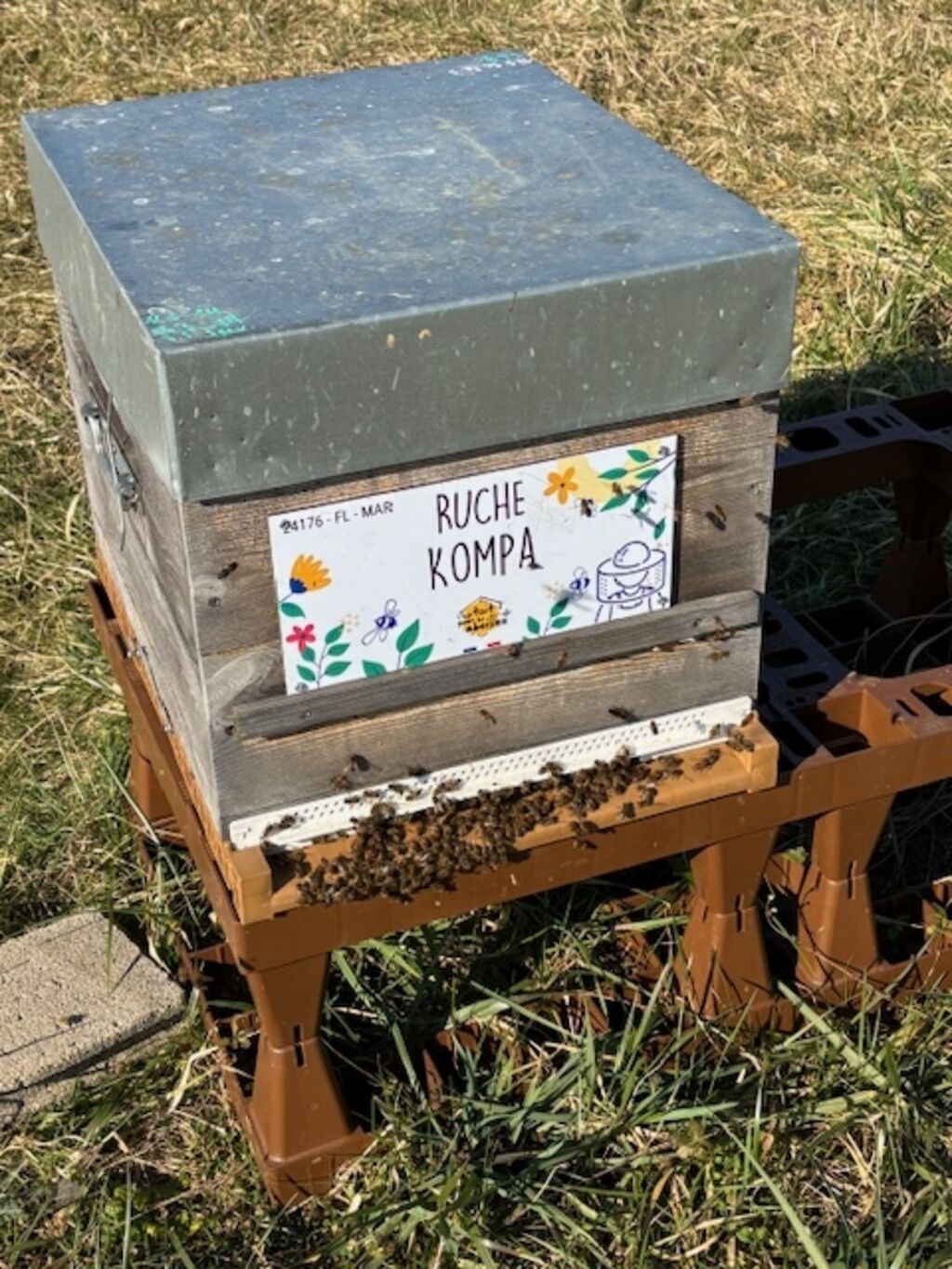 La ruche Kompa