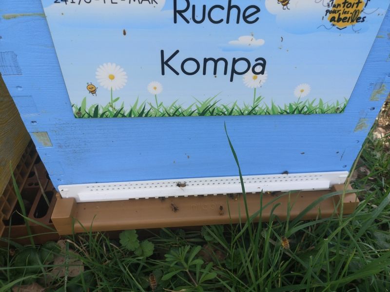 La ruche Kompa