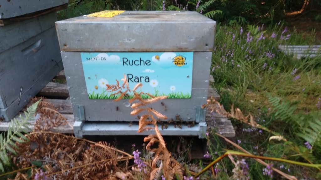 La ruche