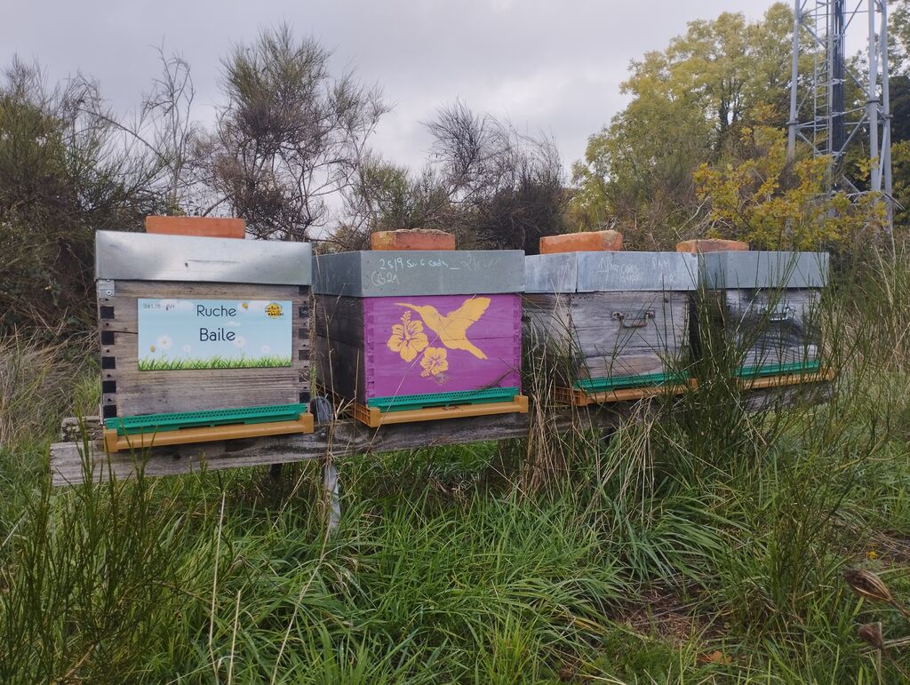 La ruche Baile