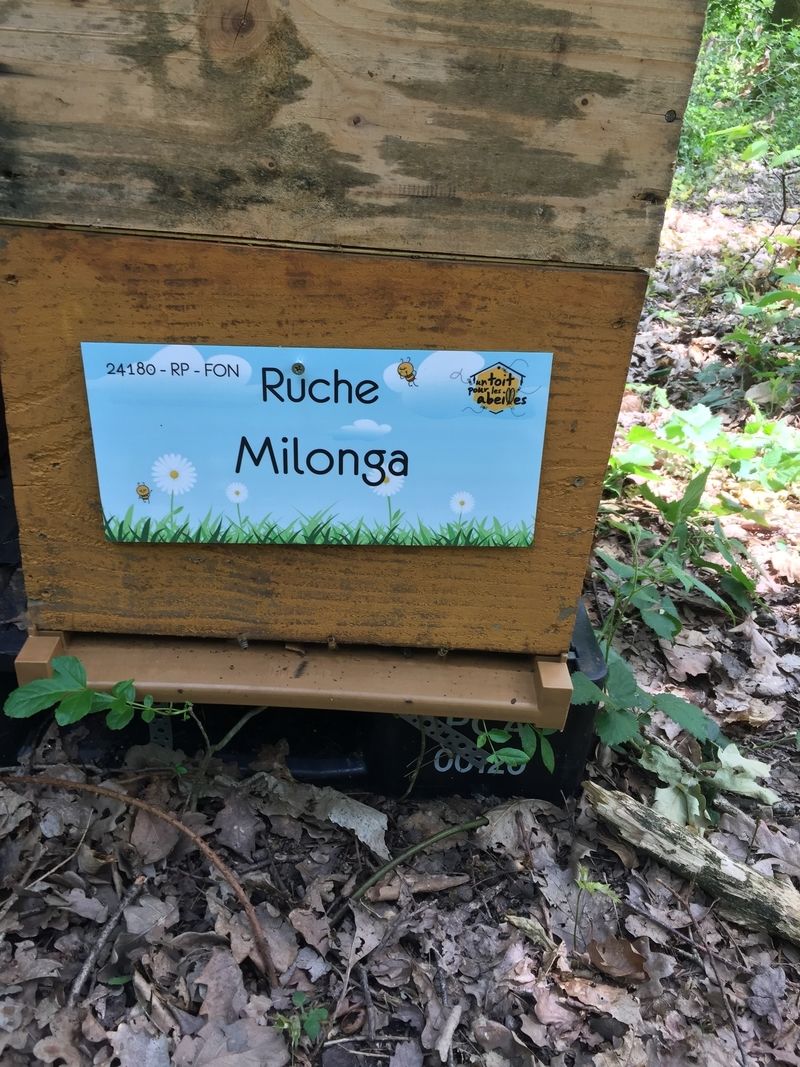 La ruche Milonga