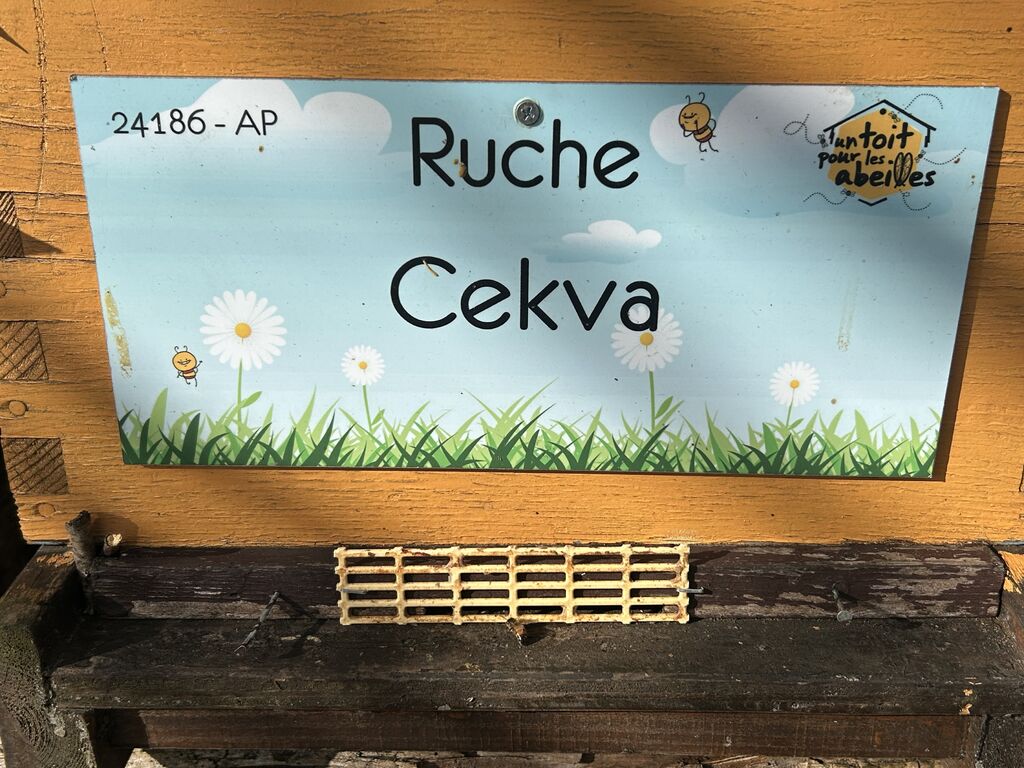La ruche Cekva