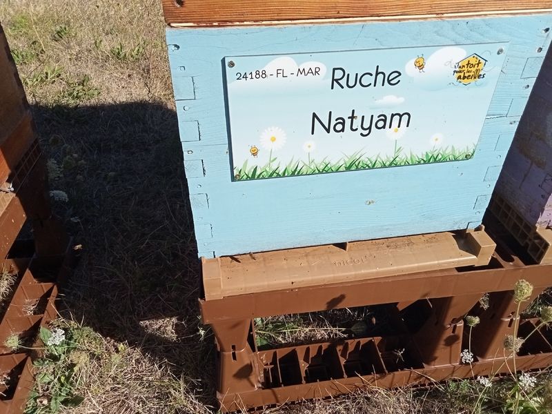 La ruche Natyam