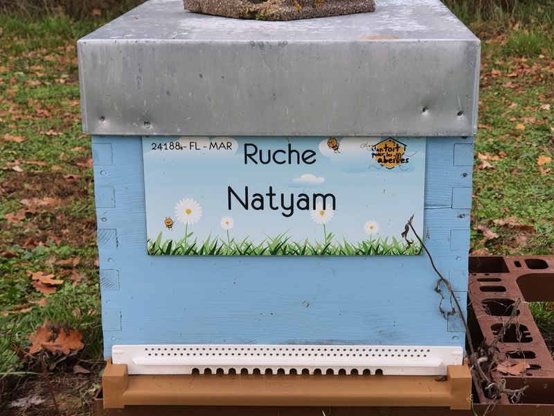 La ruche Natyam