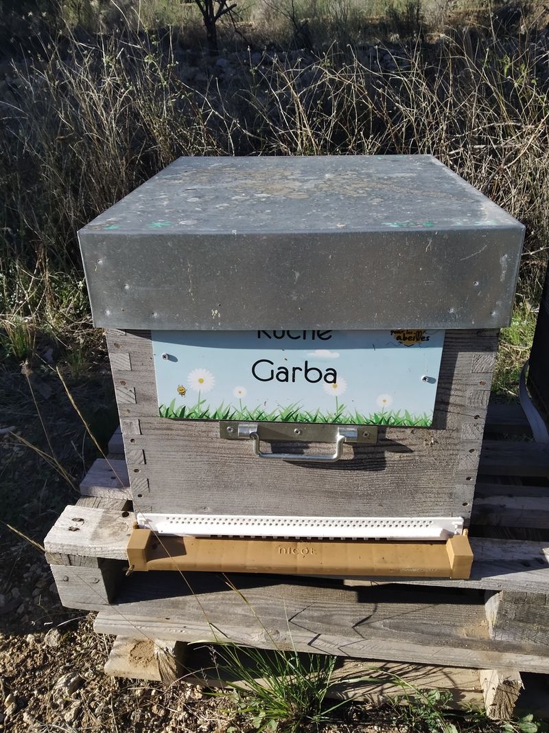 La ruche Garba