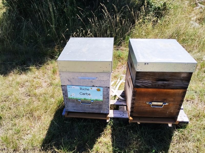 La ruche Garba