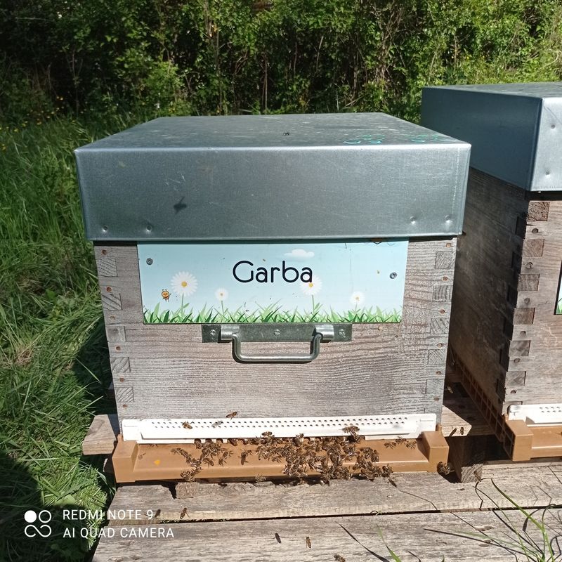 La ruche Garba