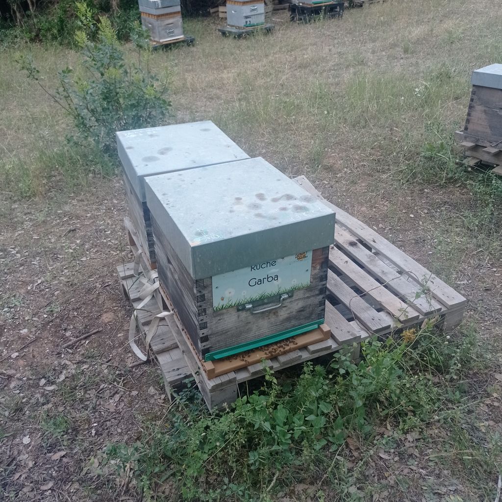 La ruche Garba