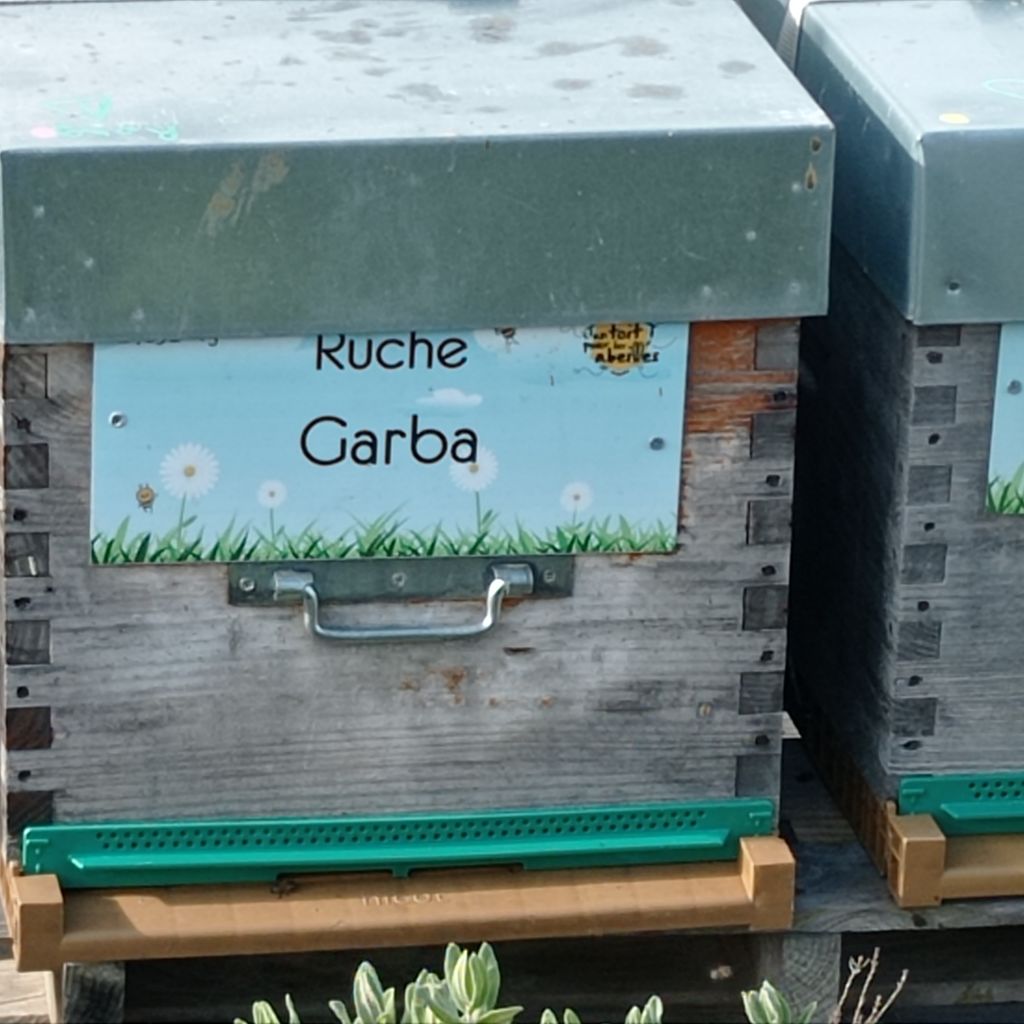 La ruche Garba